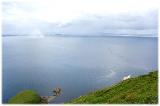 Skye rainbow with goats on ledge